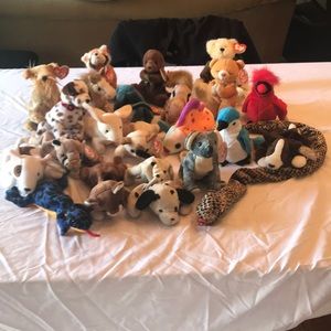 TY Beanie Baby Collection.